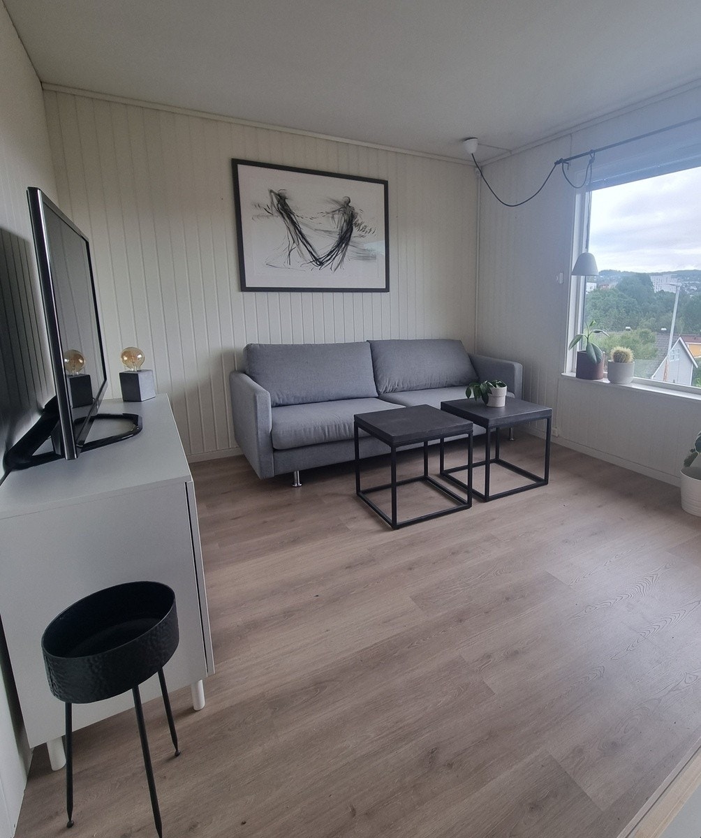 Koselig sofakrok i stuen. Stuen har også spisestue og vedovn. Galleribilde