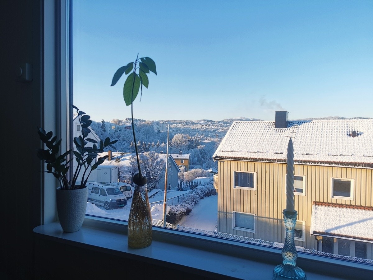 Vinterutsikt fra stuen. Gråkallen i bakgrunnen. Galleribilde