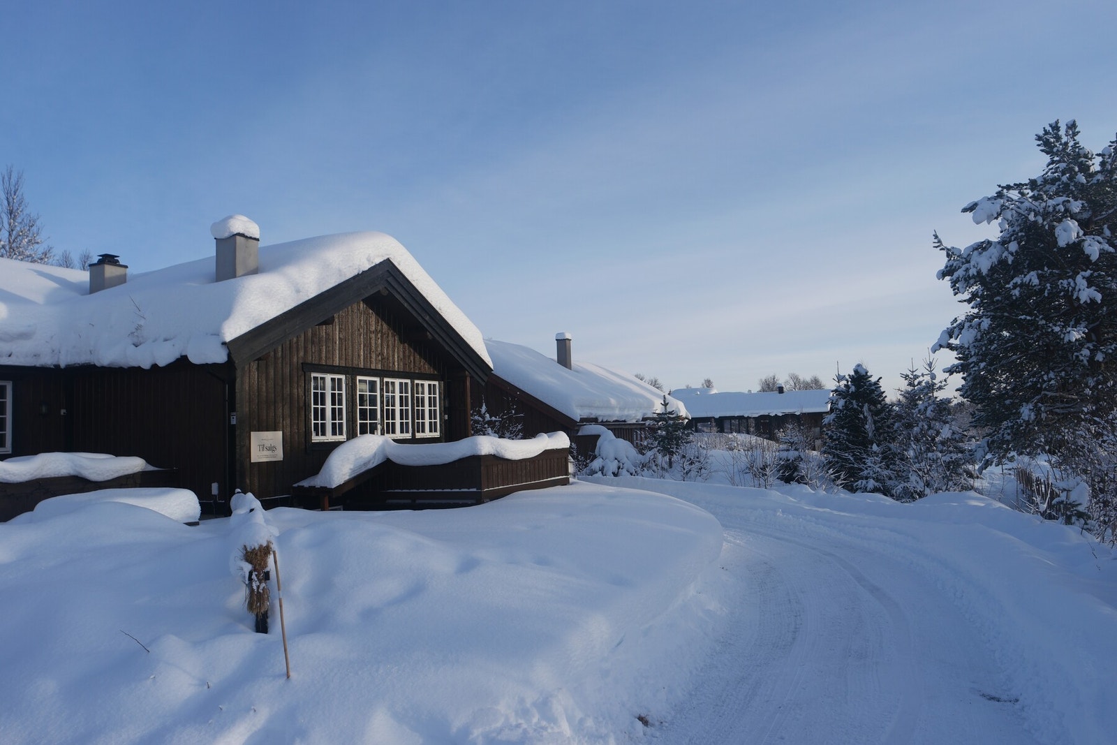 Bilde fra selgers arkiv Galleribilde