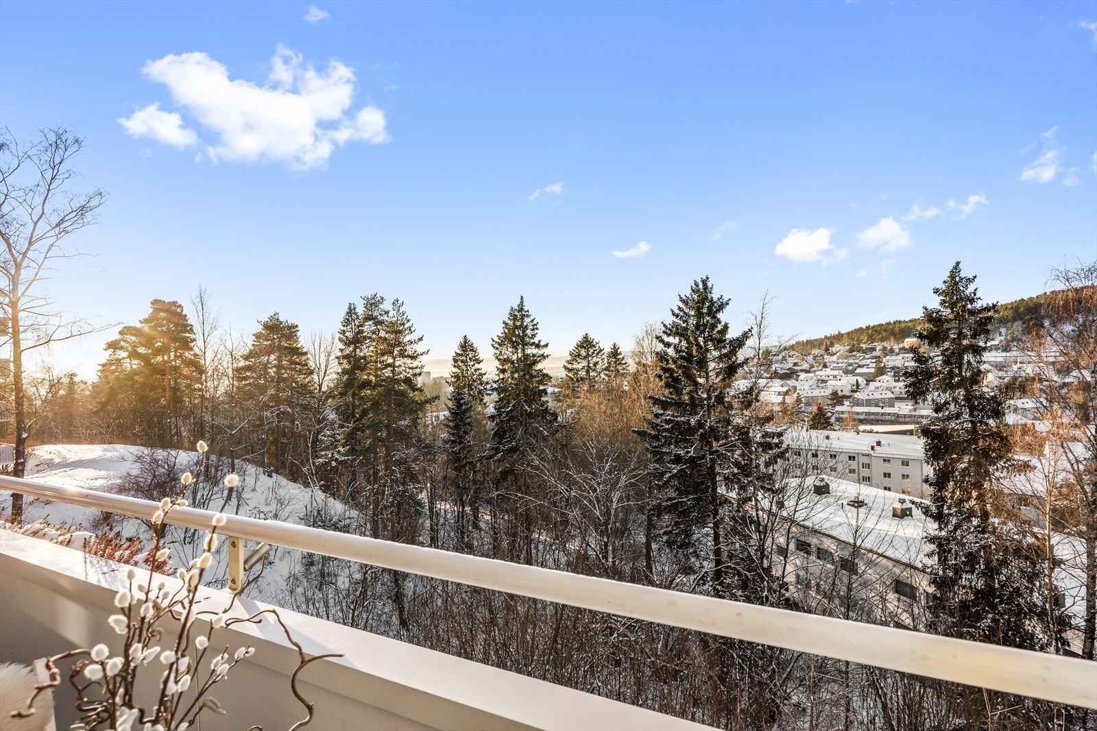 Området er preget av etablert bebyggelse og frodige naturområder. Galleribilde