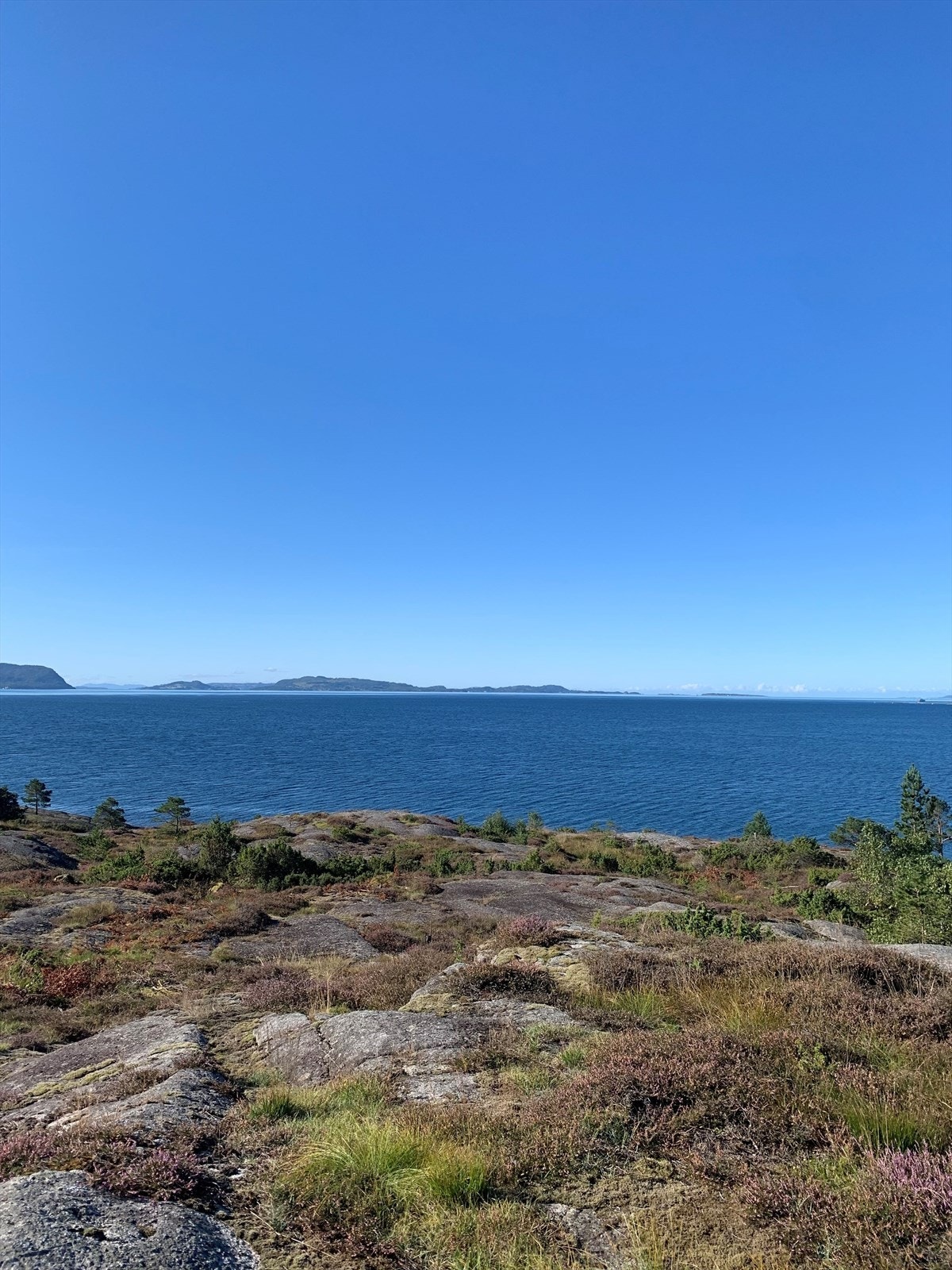 Nærområdet Galleribilde