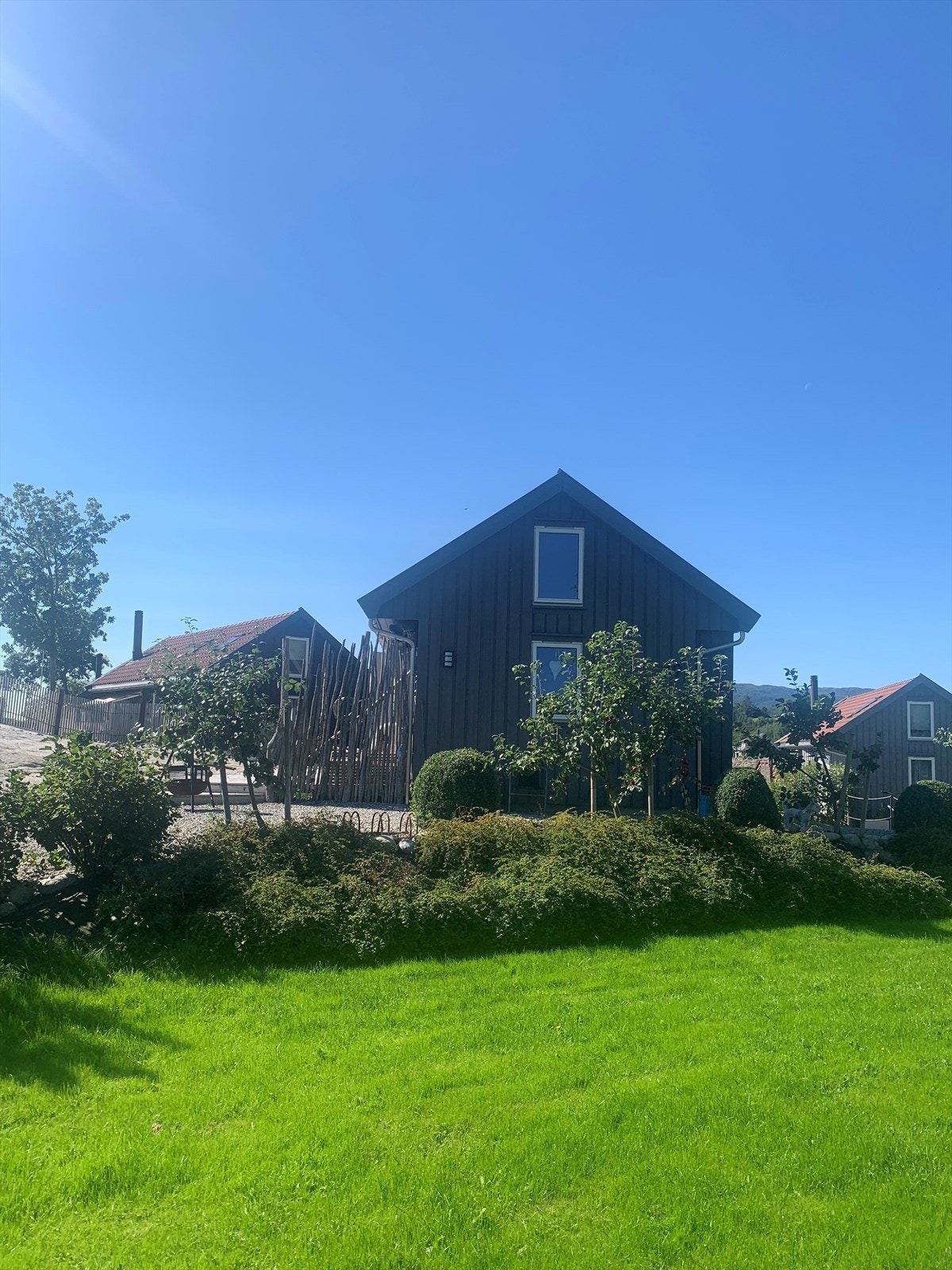 Sommerbilde Galleribilde