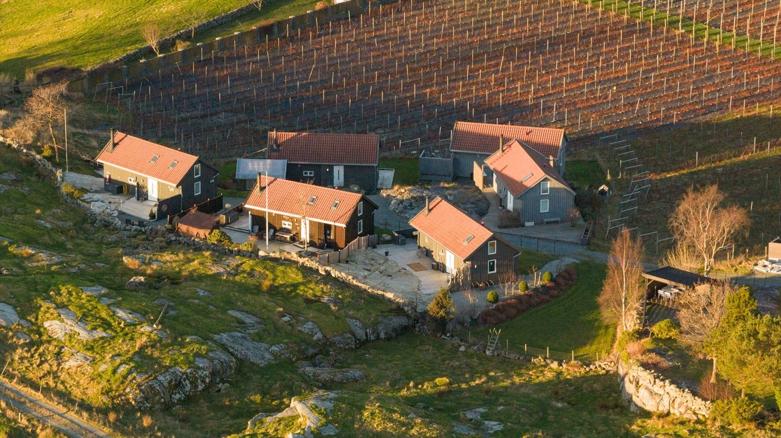 Oversikt Galleribilde