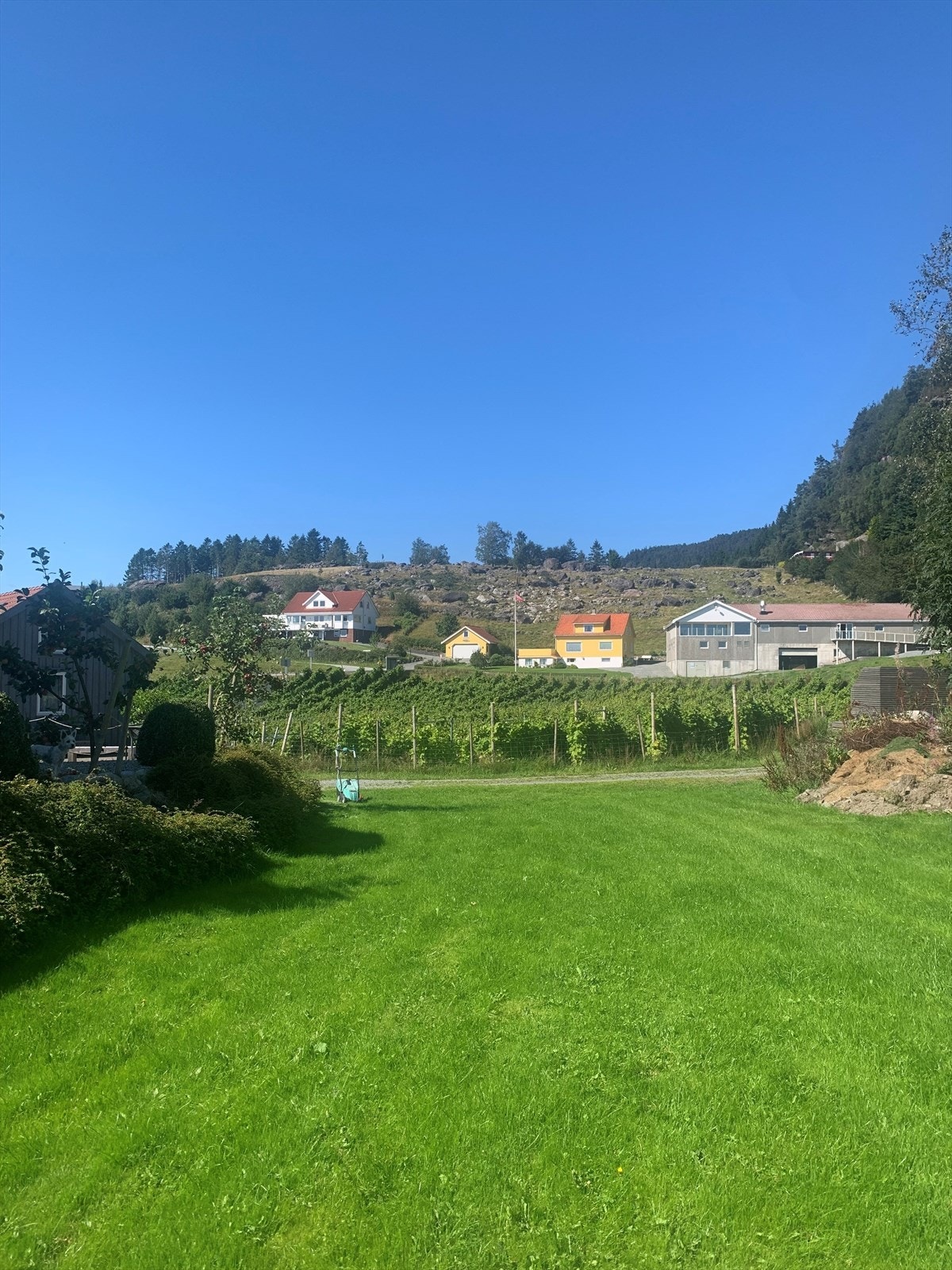 Plen/uteplass (fellesareal) ved siden av hytta Galleribilde