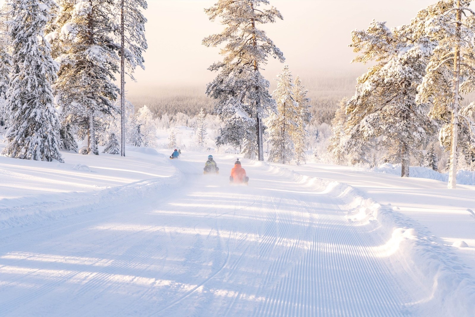 Fulufjellet akebakke . Foto: Bertil Feld Galleribilde