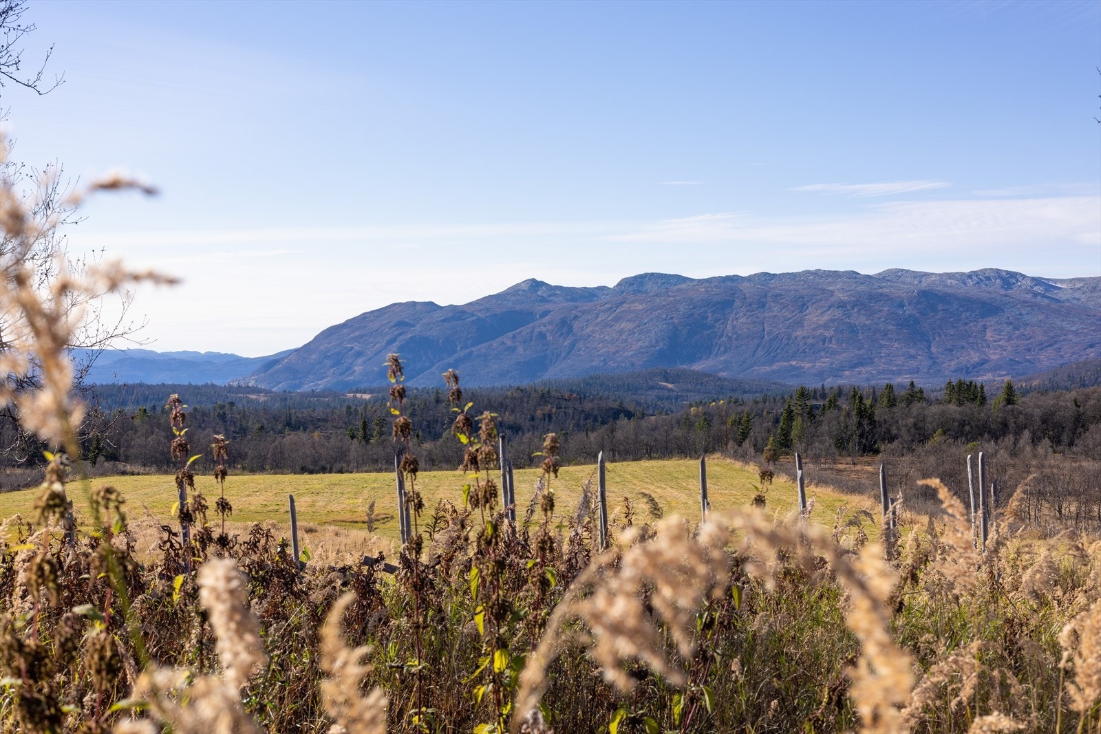 Utsyn over den vakre naturen mot Raulandsfjell (Skarsnut) og Seterdalsheiene Galleribilde