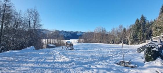 Vinterbilde (tatt av eier) Galleribilde