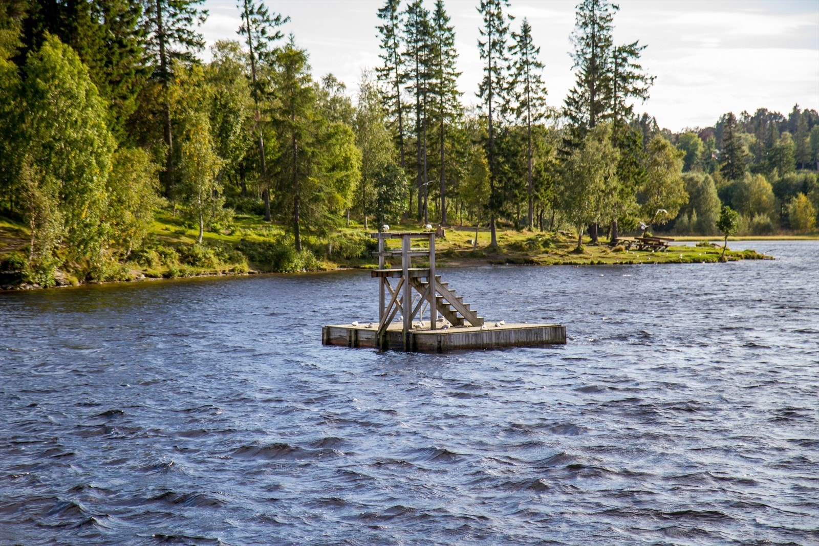 I området finnes grillplasser og badeplasser som Theisendammen, Baklidammen, Kobberdammen og Kyvannet. Galleribilde