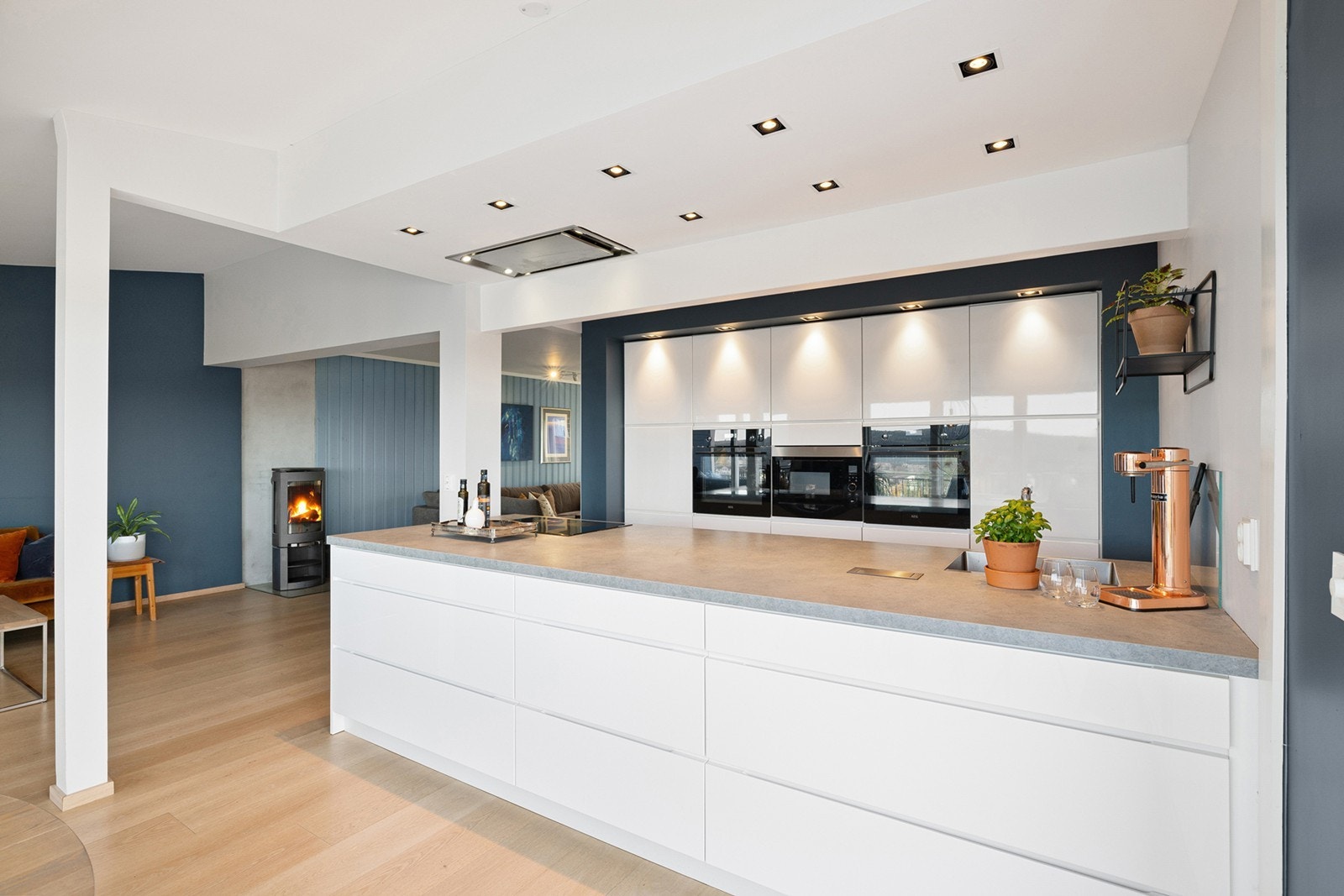 Integrerte hvitevarer består av oppvaskmaskin, komfyrer, kombiskap og mikrobølgeovn, nedfelt platetopp og det er tilkoblet en ventilator over kokeplass. Galleribilde