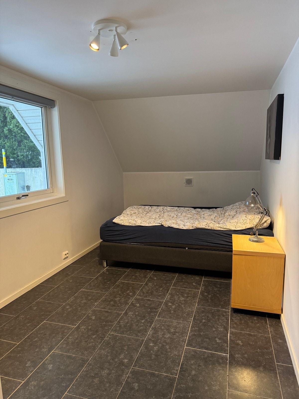 hybel 3.jpg Galleribilde