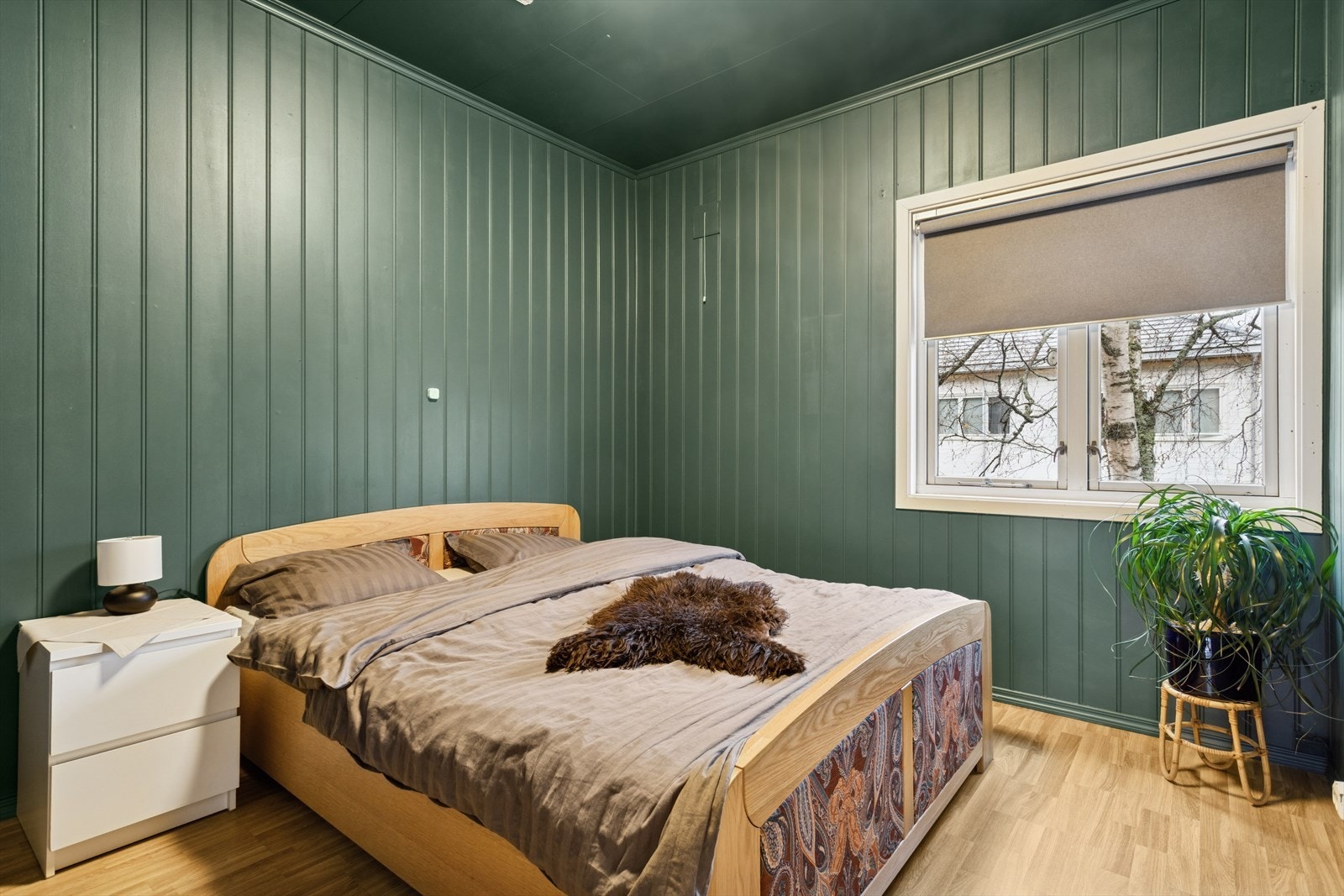 Soverommet har nok plass til dobbeltseng og ønsket møblement. Malt i en dus og fin farge som gir rommet en god atmosfære. Galleribilde