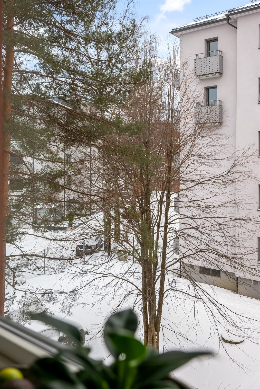 Utsyn mot et rolig og grønt område gir en fredelig atmosfære. Galleribilde