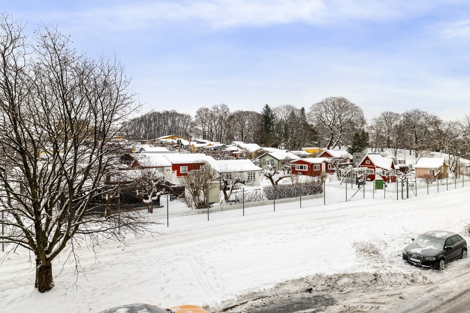 Utsikt mot Hjemmets kolonihager, Bjølsenparken og Voldsløkka Galleribilde