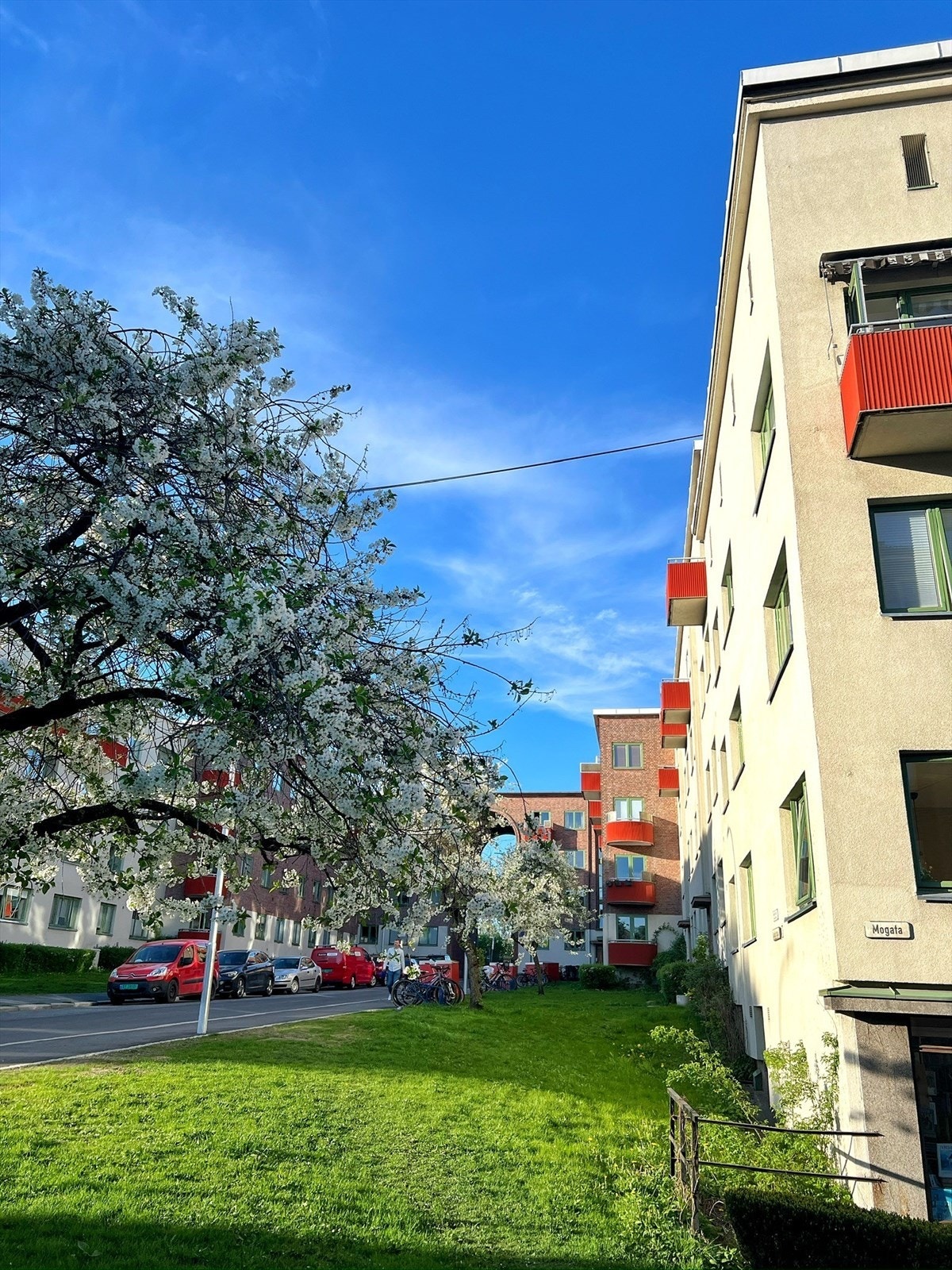 Bilde av gaten tatt av selger sommerstid Galleribilde