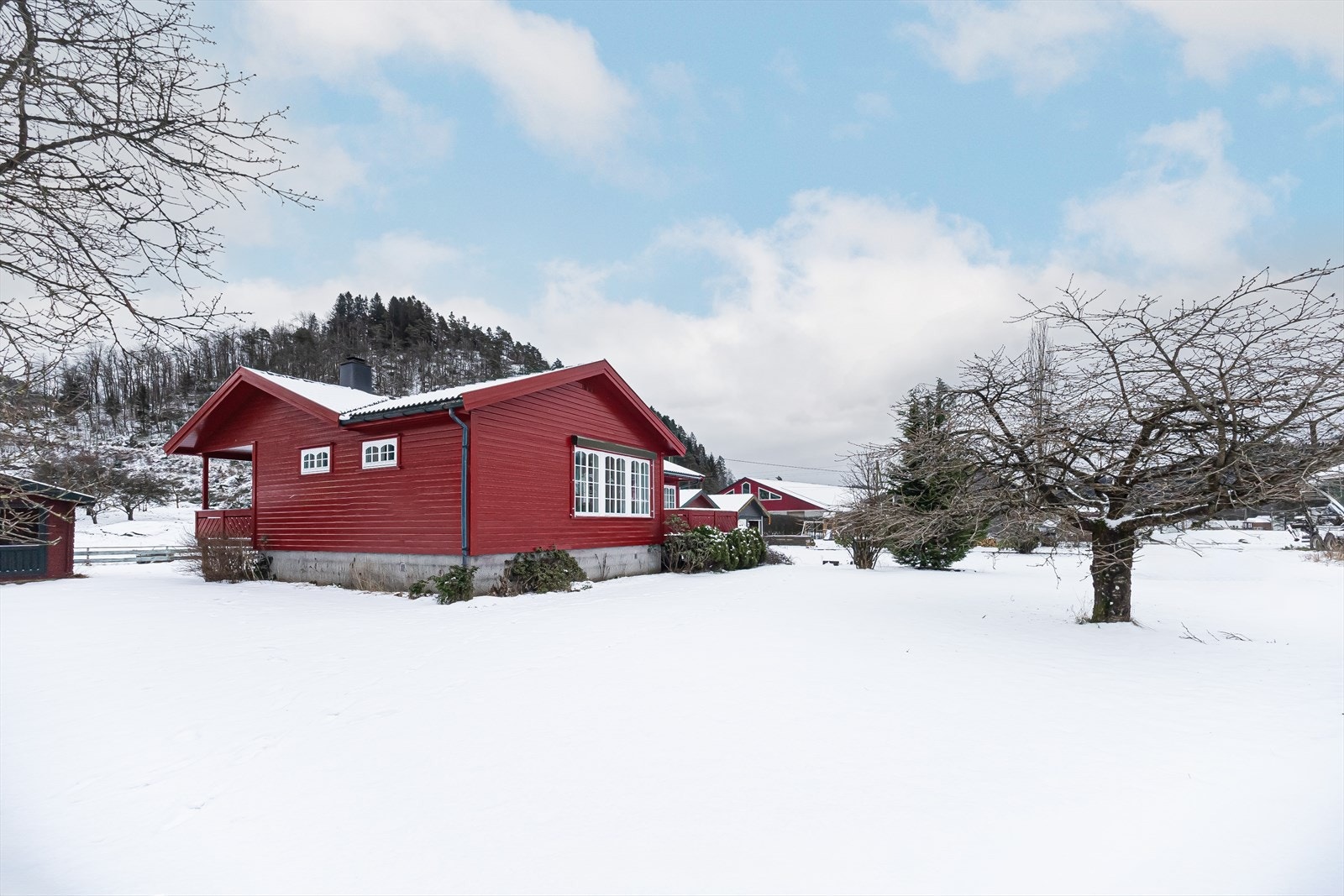 Velkommen til visning Galleribilde