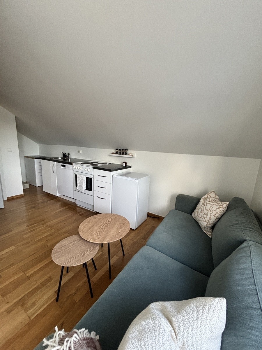 Lite kjøkken og stue Galleribilde