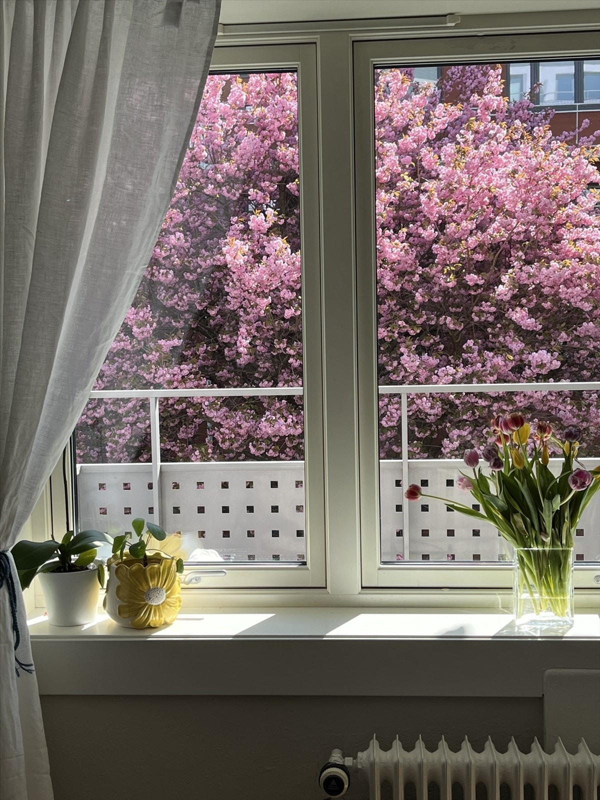 Foto er tatt av selger. Galleribilde