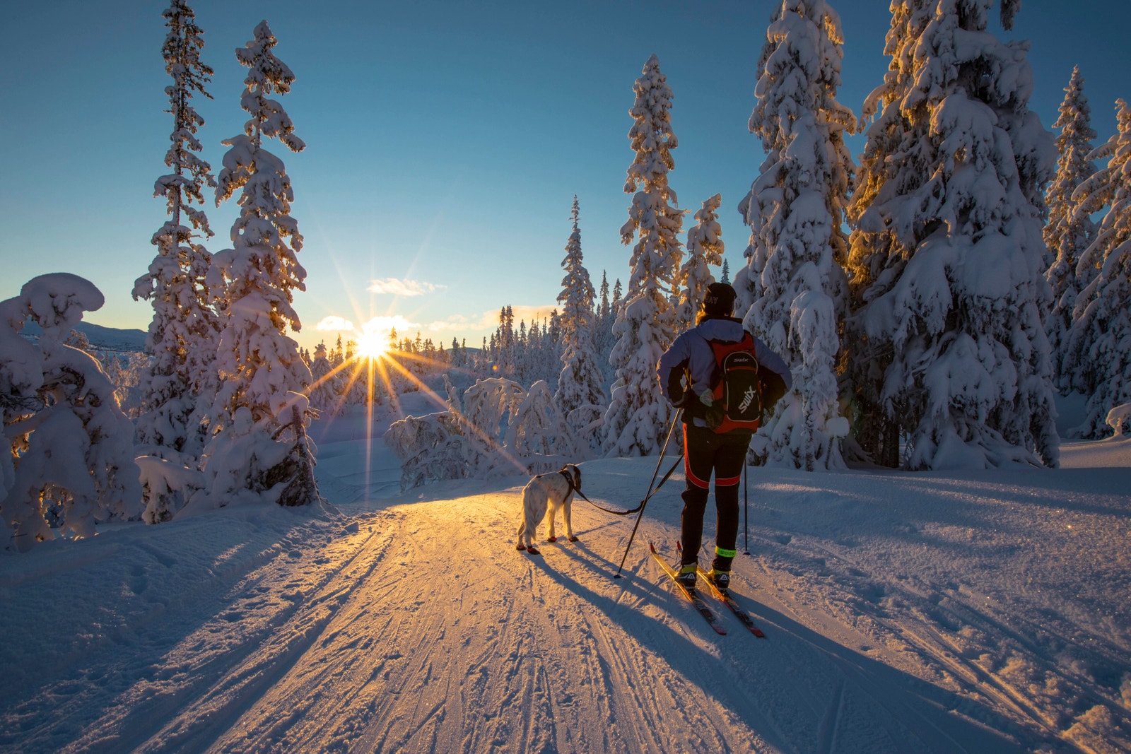 70 km med langrennsløyper rett utenfor hyttedøra Galleribilde