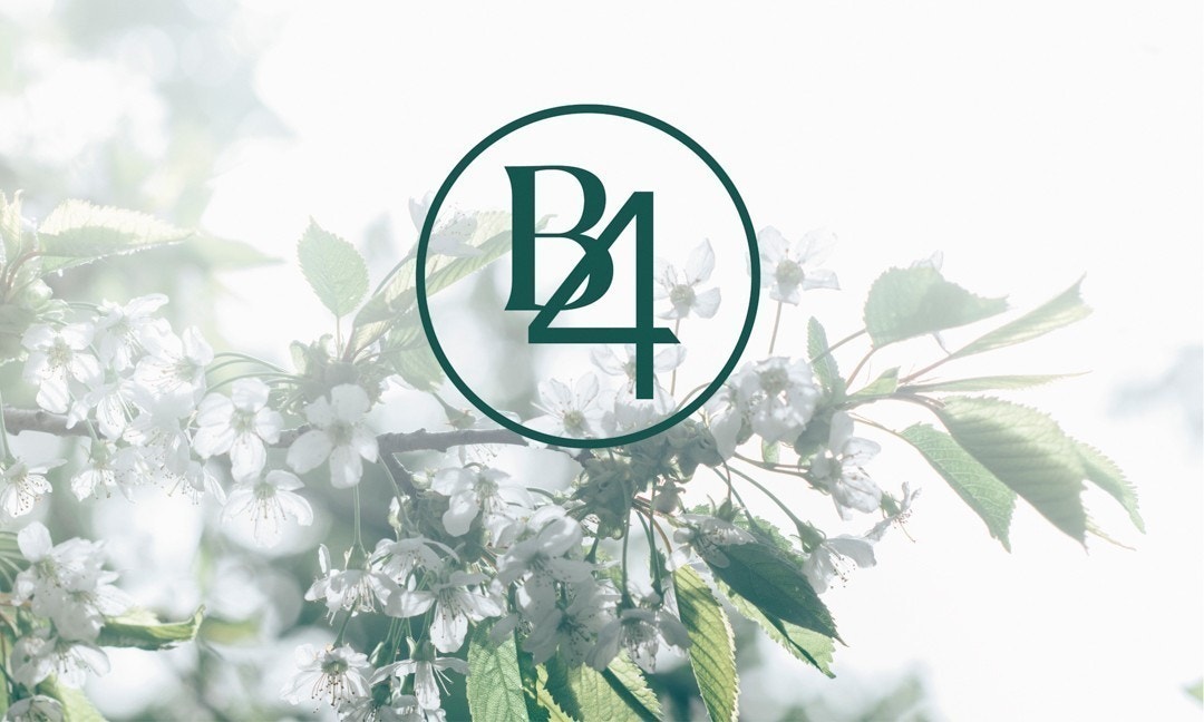 B4, litt enkelere, litt grønnere Galleribilde