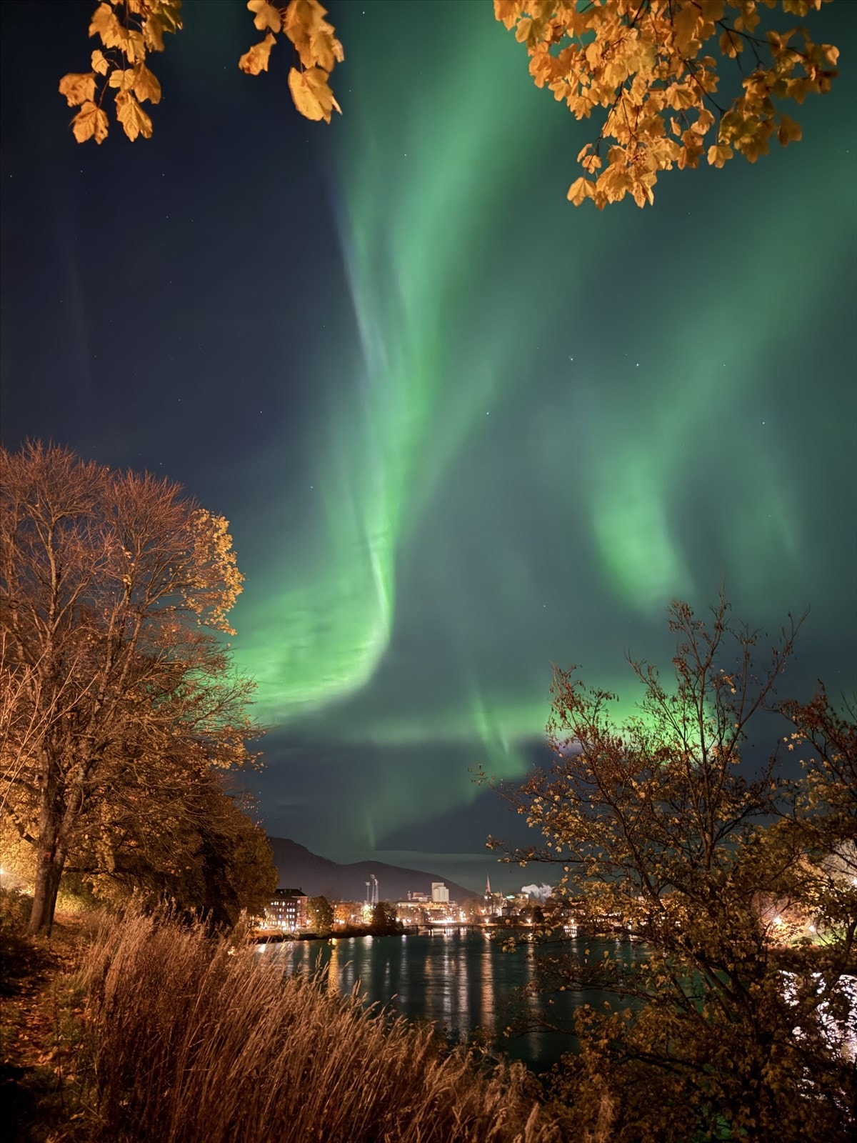 Selgers områdebilder. Galleribilde