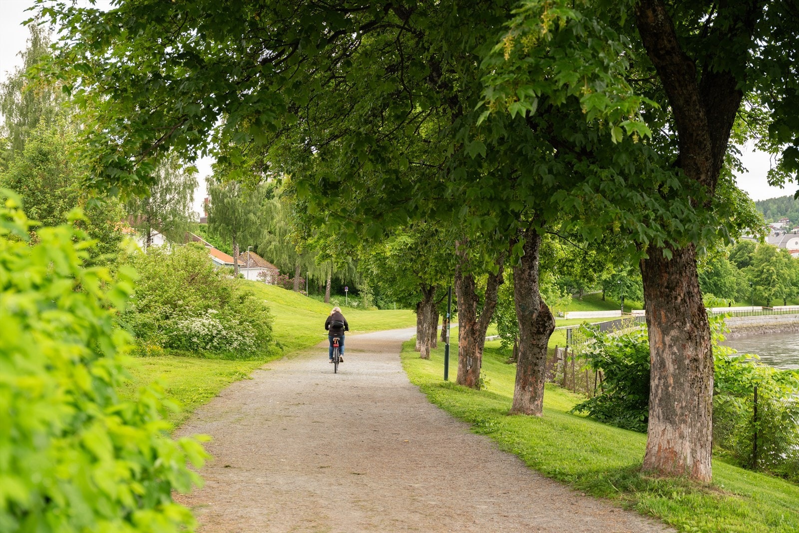 Fra eiendommen er det gangavstand til blant annet Bakklandet, Midtbyen, Solsiden, St. Olavs og NTNU Gløshaugen. Galleribilde