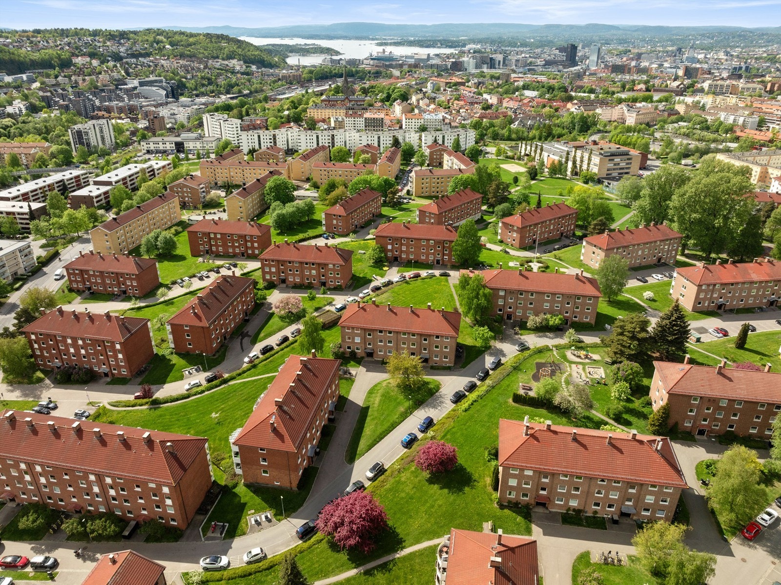 Det er rikelig med gratis parkeringsplasser på borettslagets tomt. Galleribilde