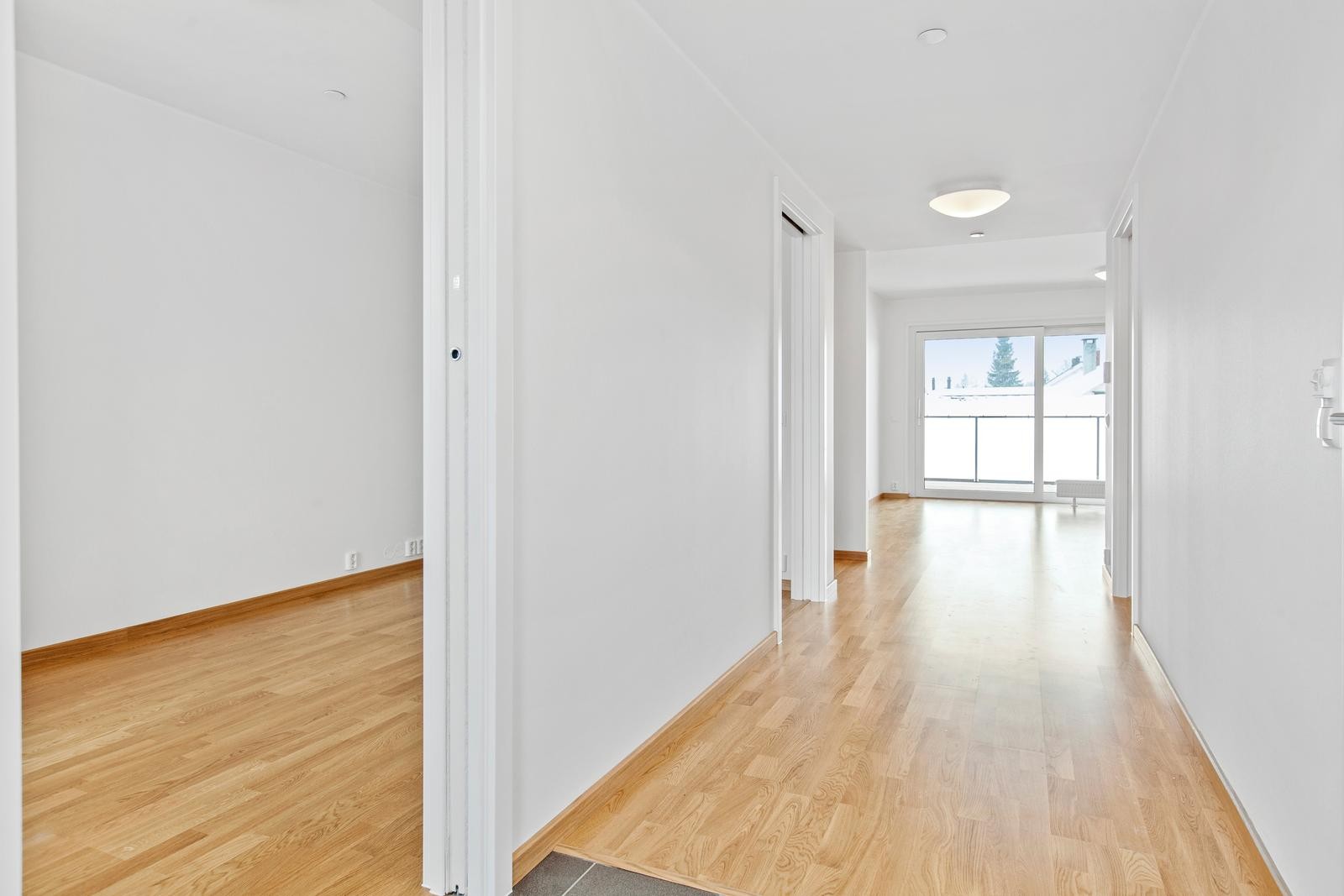 Kopiert fra 62594 Galleribilde