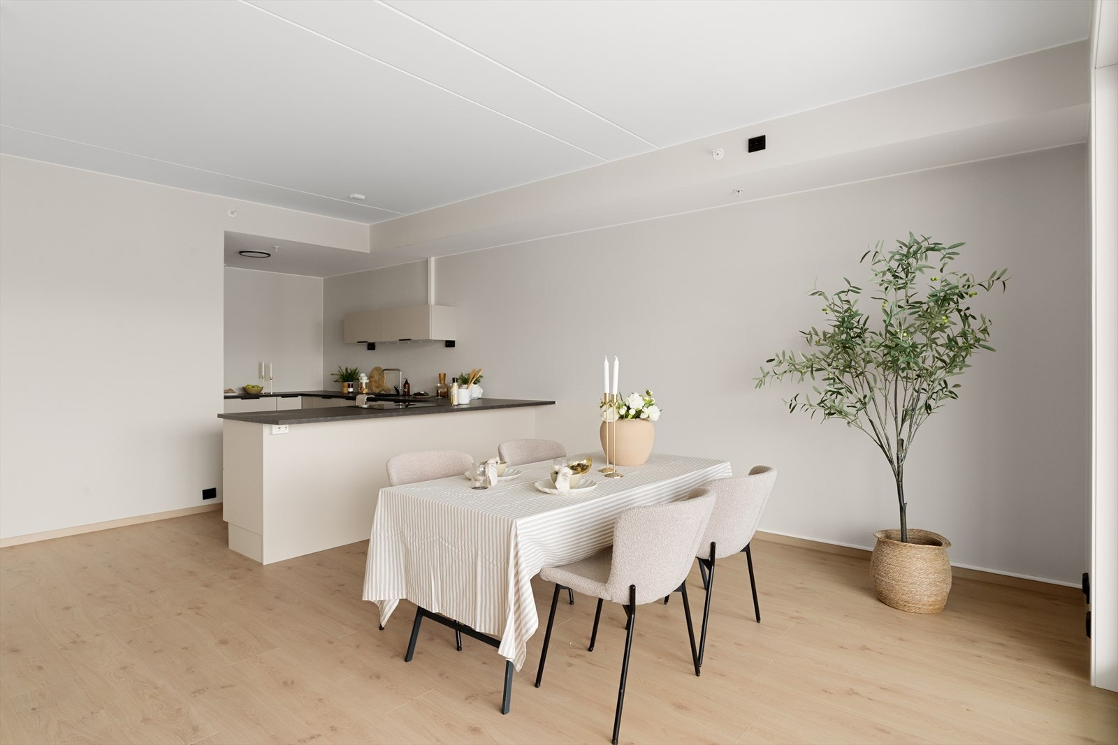 Stue og kjøkken i åpen løsning. Galleribilde