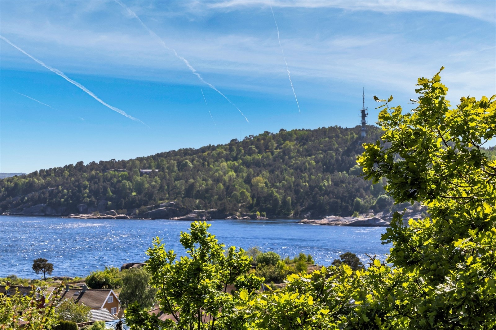 Utsikt mot Odderøya Galleribilde