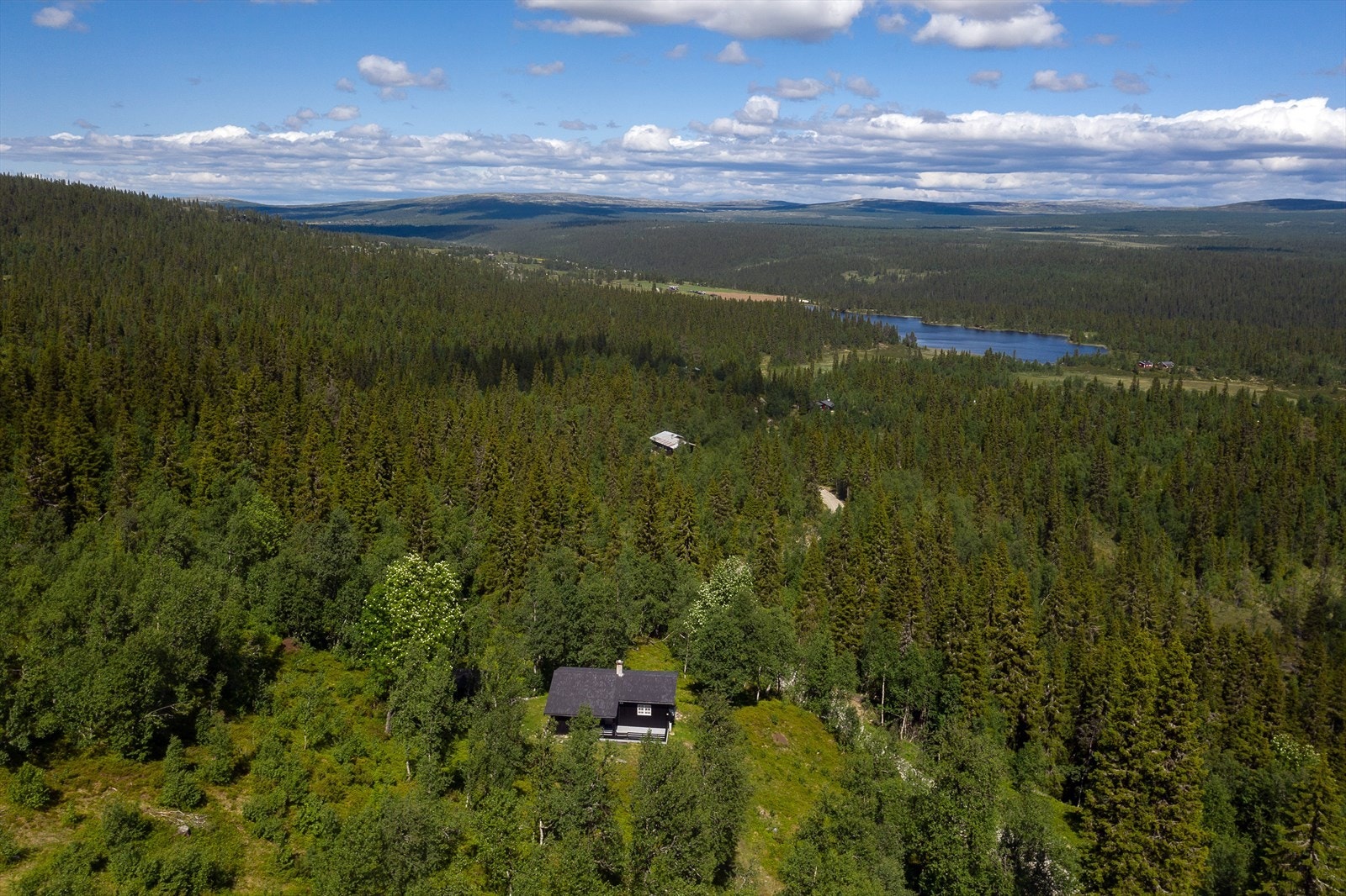 Hytten ligger ca. 880 meter over havet. Det er ca. 600 meter til Morketjønnet Galleribilde