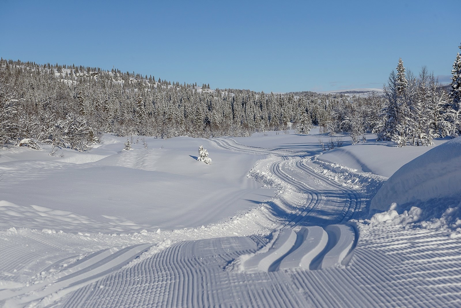 Her kan en gå milevis i de preparerte løypene som like i nærheten av hytta. Galleribilde