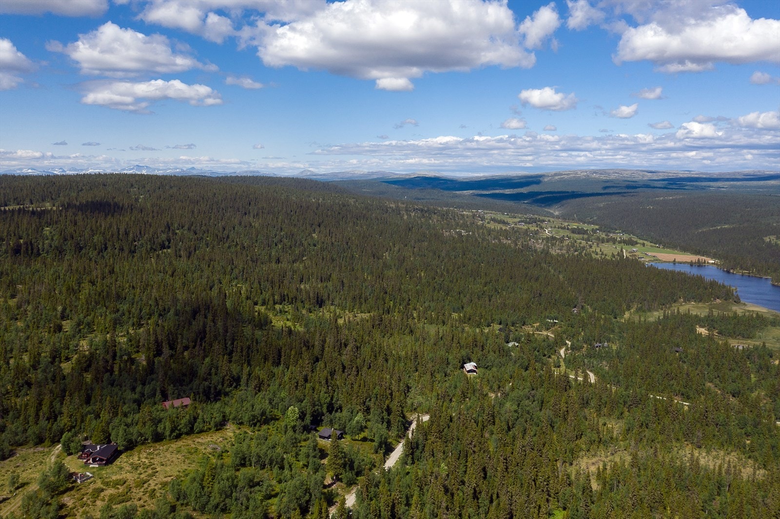 Gode muligheter for småviltjakt Galleribilde