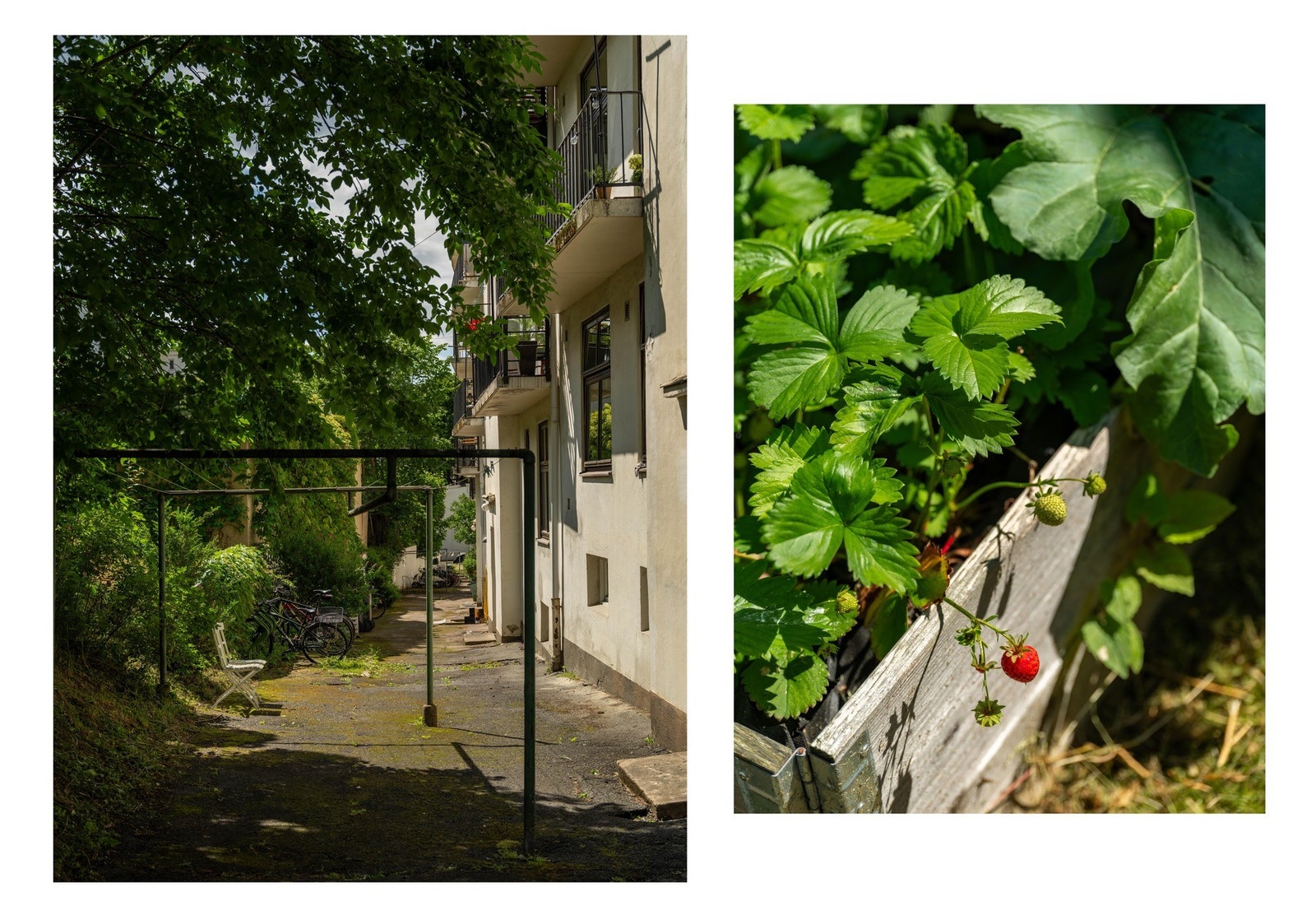 Felles sykkelparkering. Foto lånt med samtykke fra fotograf Alexander Granli @Boliggram. Galleribilde