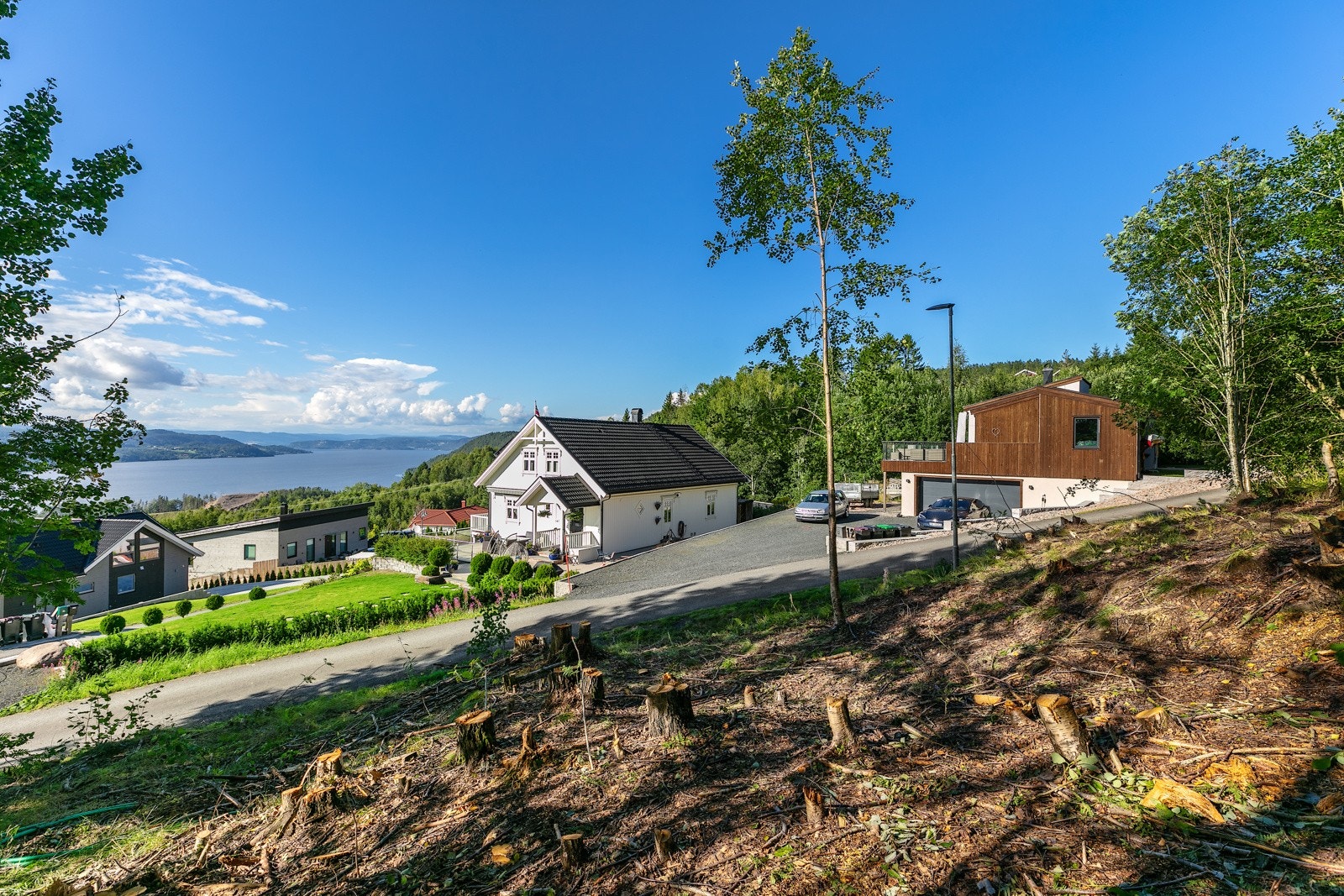 Flott utsikt fra tomten Galleribilde