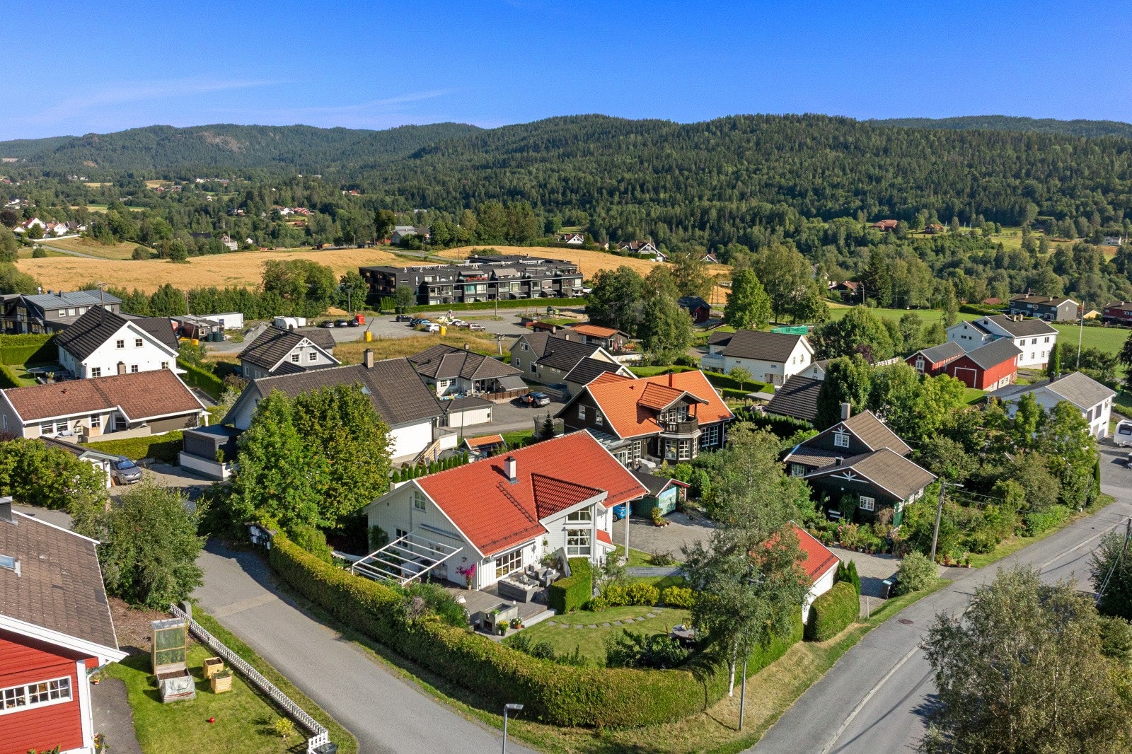 Lommedalen har et aktivt lokalmiljø med idrettsanlegg, hall og treningssentre i nærheten. For daglige innkjøp finnes flere dagligvarebutikker og handelssteder, og Bærums Verk gir et hyggelig miljø med butikker og spisesteder. Galleribilde