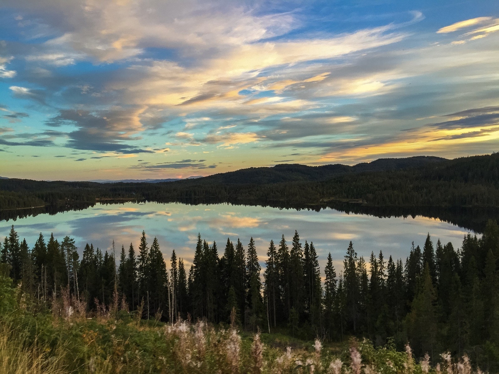 Kort vei til Bymarka helårs tuterreng med fiske- og bademuligheter. Galleribilde
