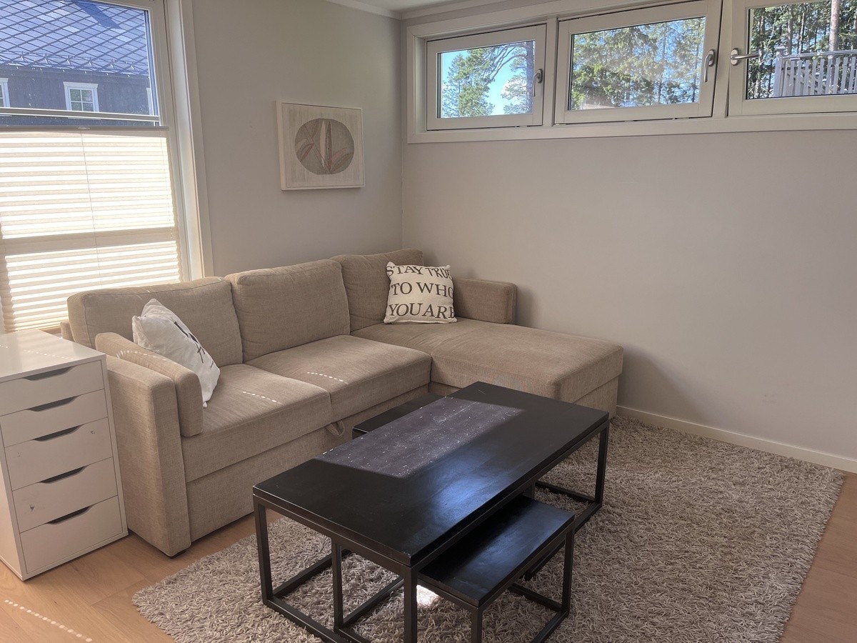 Stue/spisestue Galleribilde