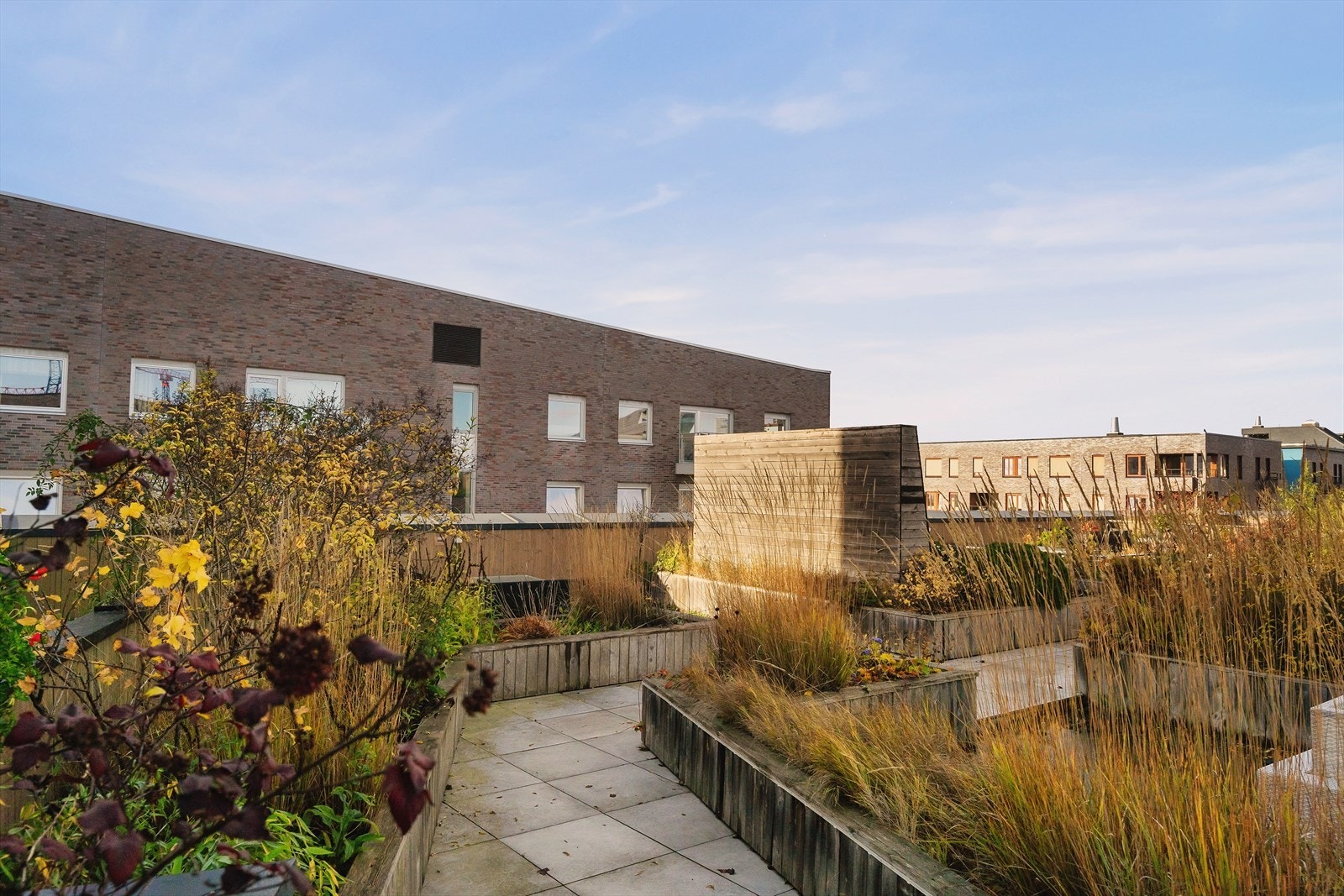 Felles takterrasse Galleribilde