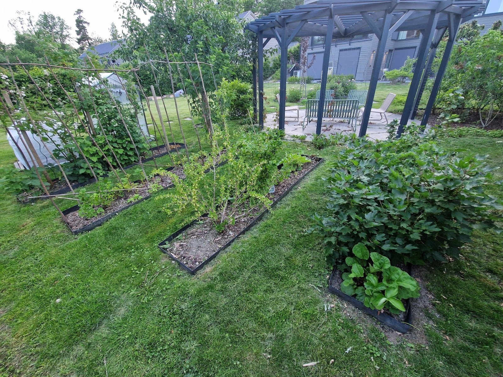 om man har gørnne fingre, er hagen perfekt. Dyrk salten til dine måltider. Galleribilde