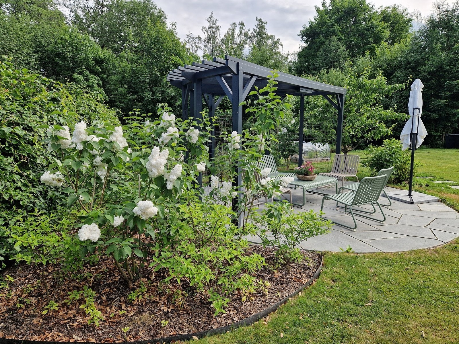 Sommerbilde fra hagen med pergola. Galleribilde