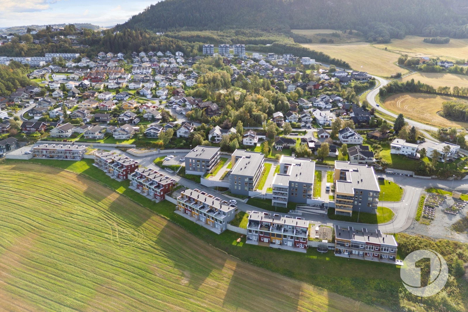 Dronebilde av nabolaget. Galleribilde