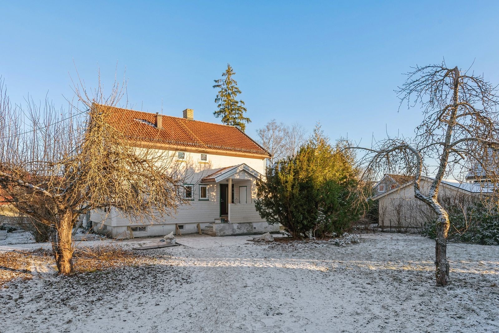 Stor fin hage. Galleribilde