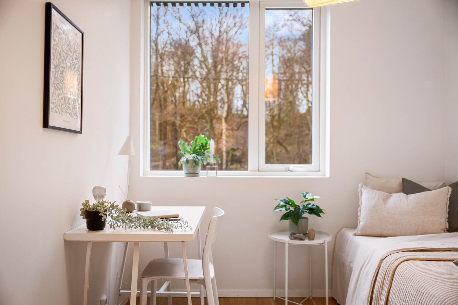 - Rolig og med utsikt over skogen og natur i området mot Søråshøgda/Nordåshøgda - Galleribilde