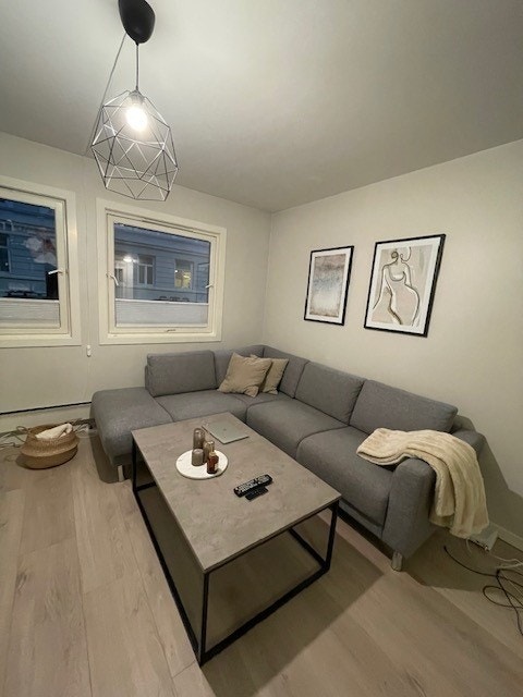 Sofabord, sofa og 2 bilder i stuen følger med i leien Galleribilde