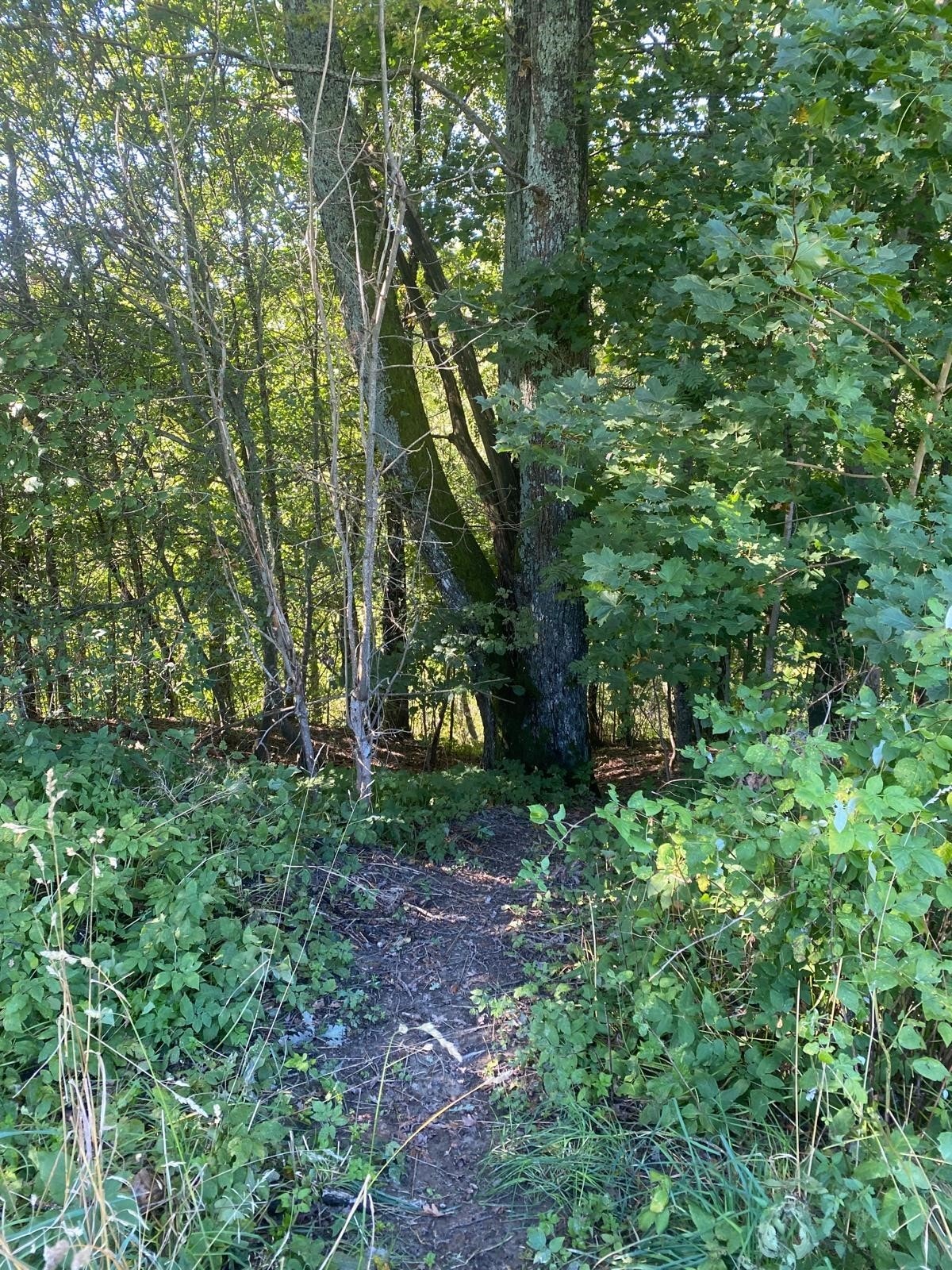 Falkum bad like på nedsiden Galleribilde