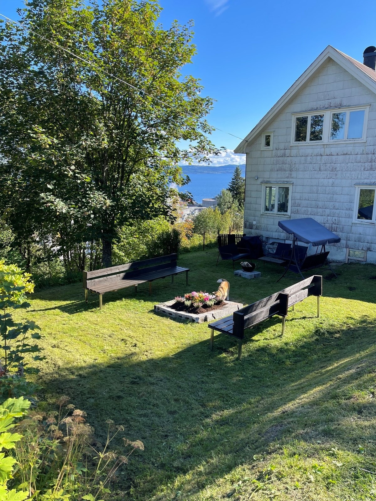 Selger sitt bilde fra forrige sommer. Galleribilde