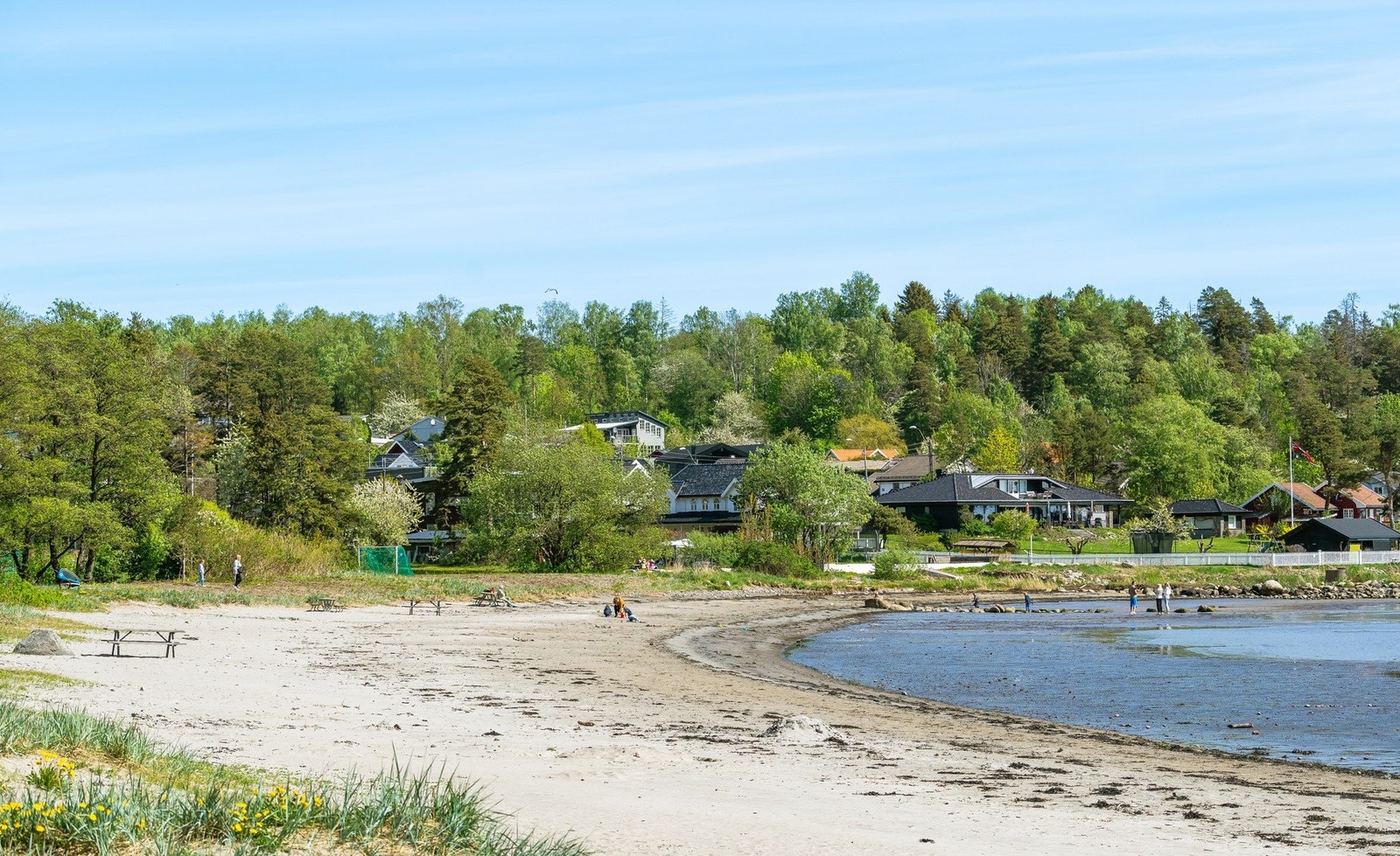 Den idylliske Skallevoldstranden Galleribilde