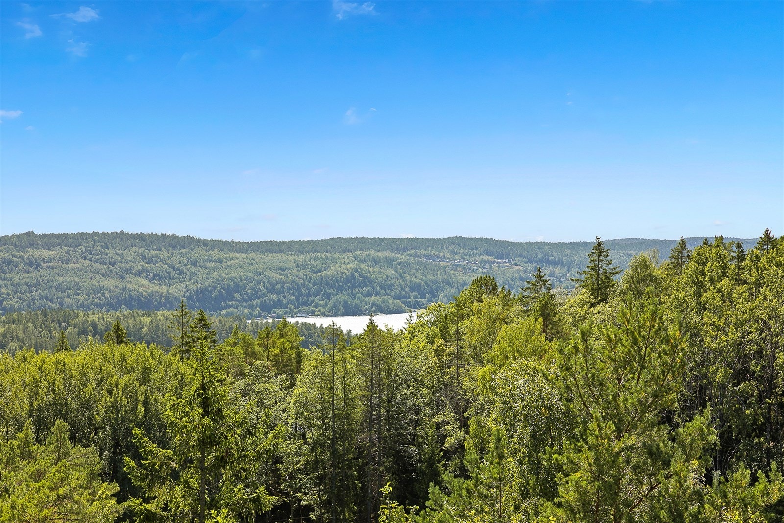 Utsikt fra verandaen. Galleribilde