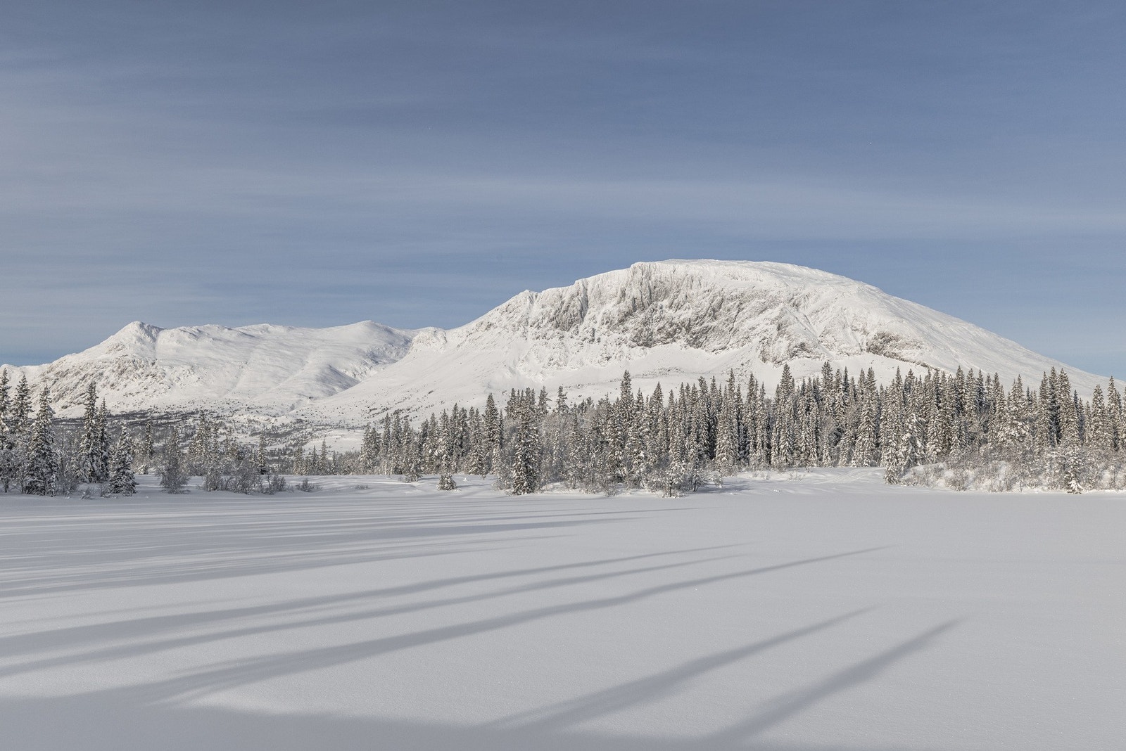 Områdebilde. Galleribilde