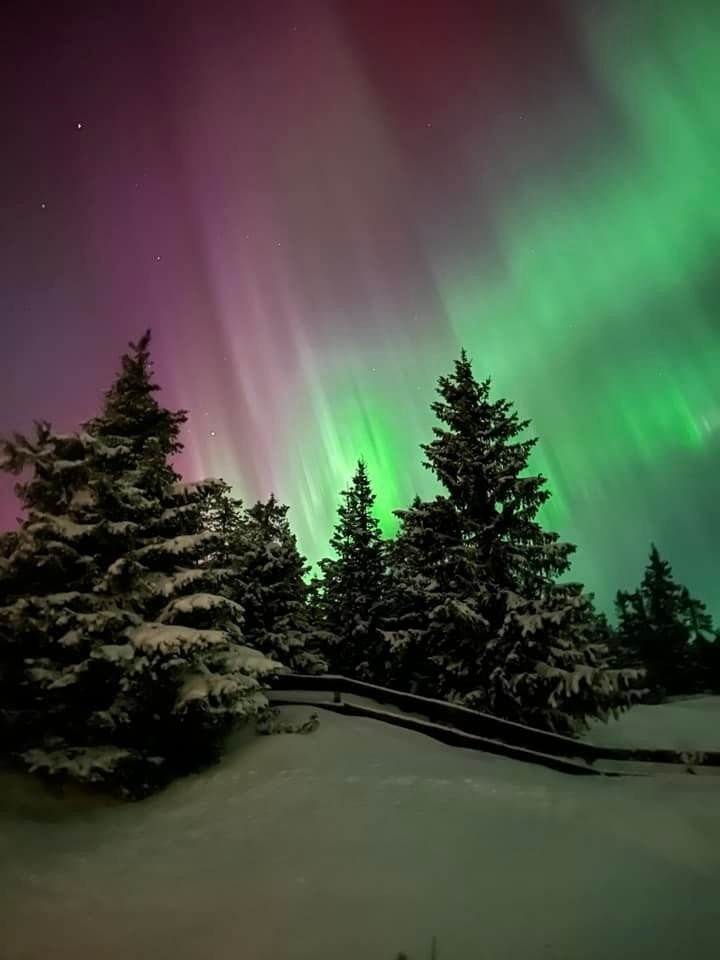 Bilde fra Ølneseter vinter 24/25 Galleribilde